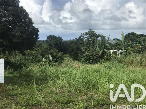 Terrain à vendre 1 501 m² Sainte-Rose