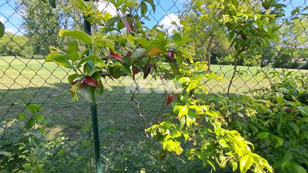 Prat-Bonrepaux (09160) MAISON FAMILIALE AVEC PISCINE - VUE PANORAMIQUE - Parc Ariegeois