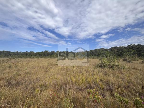 EXCLUSIVITÉ – TERRAIN AGRICOLE DE 11,2 HECTARES À MONTSINÉRY-TONNEGRANDE