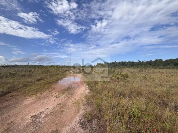 EXCLUSIVITÉ – TERRAIN AGRICOLE DE 11,2 HECTARES À MONTSINÉRY-TONNEGRANDE