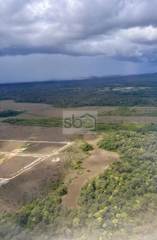 EXCLUSIVITÉ – TERRAIN AGRICOLE DE 11,2 HECTARES À MONTSINÉRY-TONNEGRANDE