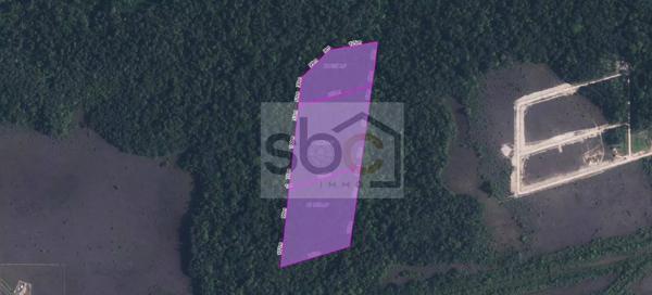 EXCLUSIVITÉ – TERRAIN AGRICOLE DE 11,2 HECTARES À MONTSINÉRY-TONNEGRANDE