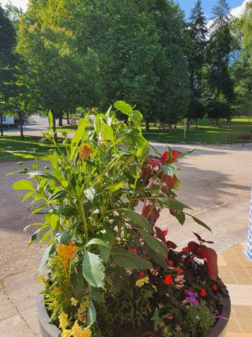 Dpt Vosges (88), à vendre CONTREXEVILLE ENSEMBLE de 7 STUDIOS/CHAMBRES dans résidence avec ascenseur quartier thermal