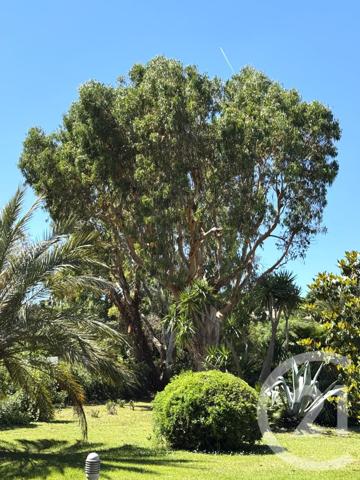 Appartement Studio à vendre  1 pièce - 25 m2 ST TROPEZ - 83