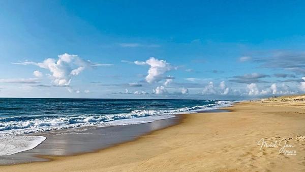 SEIGNOSSE OCÉAN | PLAGES À PIED – COPROPRIÉTÉ ENTIÈREMENT RÉNOVÉE – T2 43 m² À FORT POTENTIEL