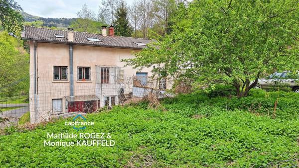Immeuble à vendre SAINT MARTIN DES OLMES (63) 4 appartements avec 1,2 hectare de terrain