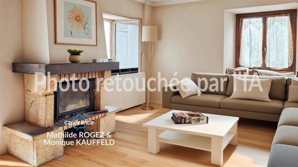 Immeuble à vendre SAINT MARTIN DES OLMES (63) 4 appartements avec 1,2 hectare de terrain