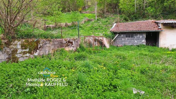 Immeuble à vendre SAINT MARTIN DES OLMES (63) 4 appartements avec 1,2 hectare de terrain