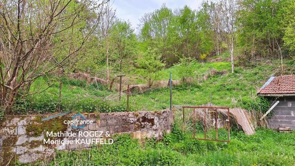 Immeuble à vendre SAINT MARTIN DES OLMES (63) 4 appartements avec 1,2 hectare de terrain
