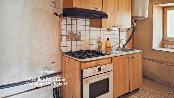 Immeuble à vendre SAINT MARTIN DES OLMES (63) 4 appartements avec 1,2 hectare de terrain