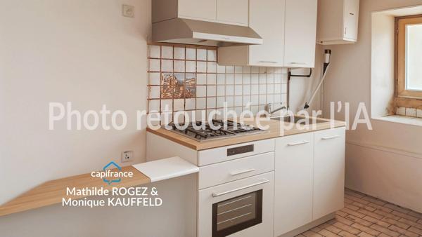 Immeuble à vendre SAINT MARTIN DES OLMES (63) 4 appartements avec 1,2 hectare de terrain