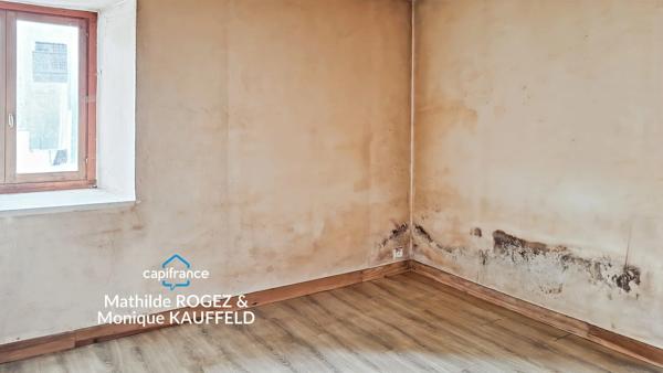 Immeuble à vendre SAINT MARTIN DES OLMES (63) 4 appartements avec 1,2 hectare de terrain