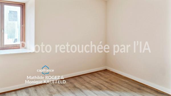 Immeuble à vendre SAINT MARTIN DES OLMES (63) 4 appartements avec 1,2 hectare de terrain