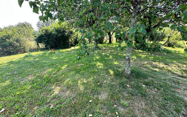 Terrain à vendre    Montauban