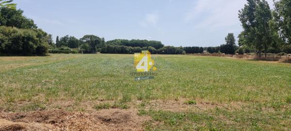 Maison - 6 pièces - 187 m²