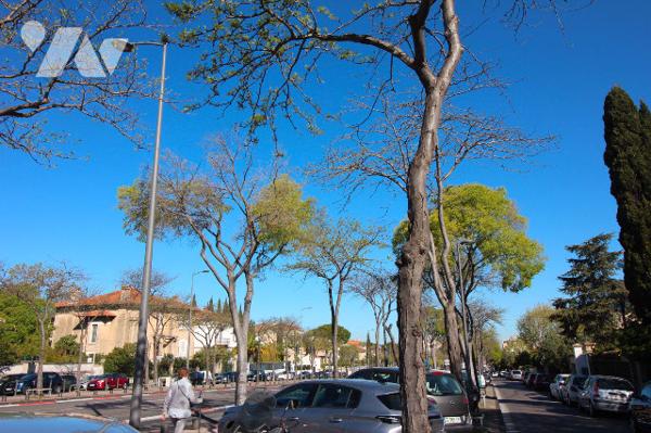 Jolie Villa de 130m2 habitables (avec 1 jardin & 1 belle terrasse) sur 1 terrain 175m2 à Mazargues