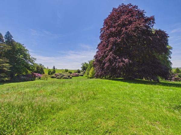 Domaine dans la montagne noire avec Manoir, 4 logements et 10 ha de terrain