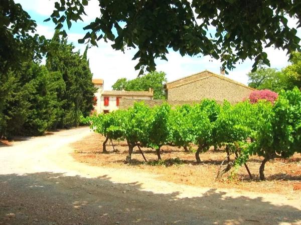 Domaine avec vignes et gîtes