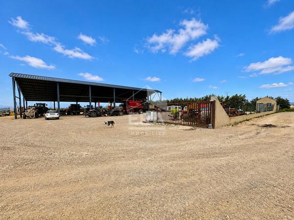 Ensemble rare composé d'un terrain de 11 162 m² et d'un vaste hangar ouvert d'environ 700 m²