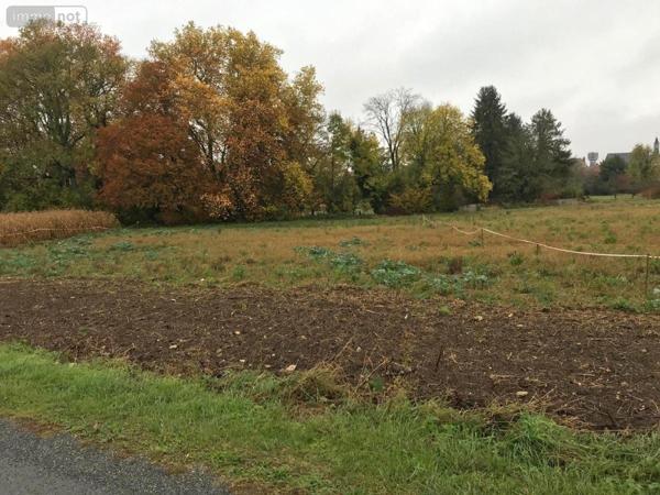 Terrain à Batir à vendre à Baugy dans le Cher (18800), ref : 18006-195