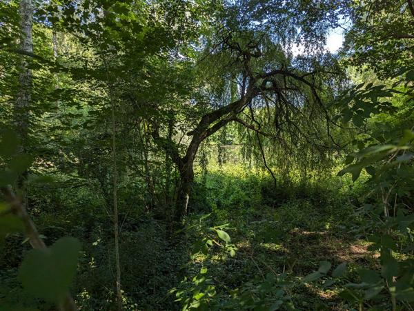 Manoir du XVIIe siècle sur 14500 m² de terrain Saint girons
