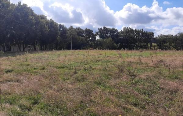 Vente Terrain Aubiet   