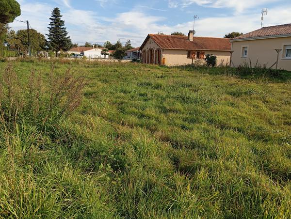 Terrain Talmont Saint Hilaire