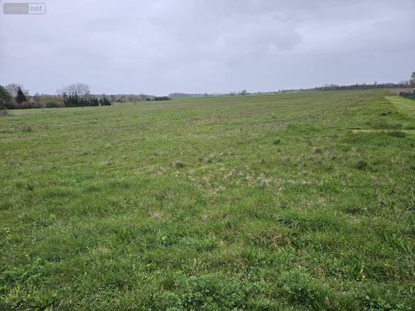 Terrain à Batir à vendre à Savigné-sur-Lathan dans l'Indre-et-Loire (37340), ref : 106411
