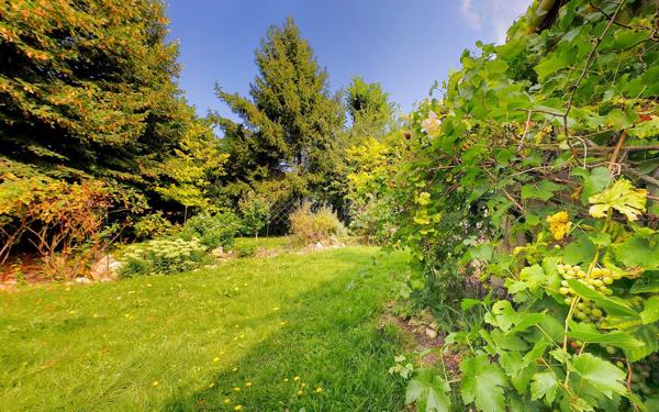 Maison à vendre    5 pièces • 155 m2 Dampmart