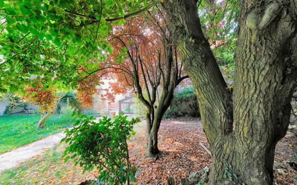 Maison à vendre    5 pièces • 155 m2 Dampmart