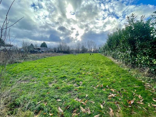 Terrain 1560 m2