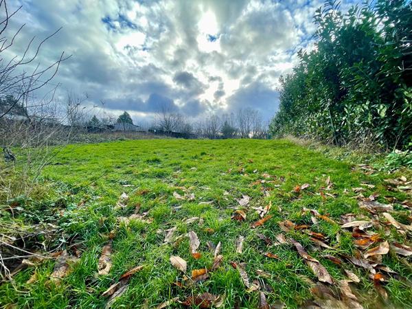Terrain 1560 m2