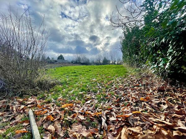 Terrain 1560 m2