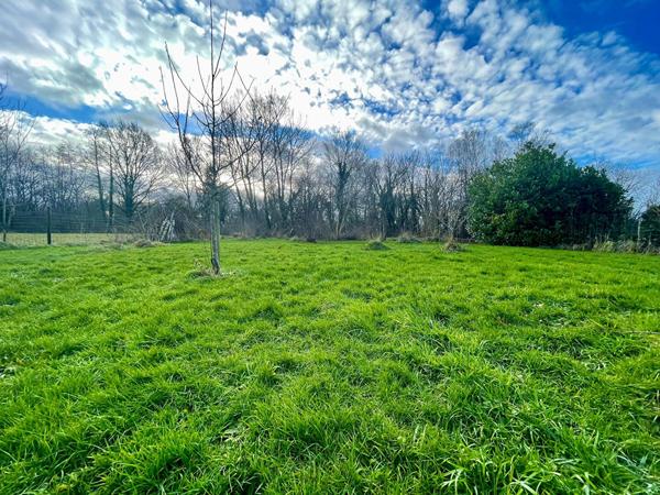 Terrain 1560 m2