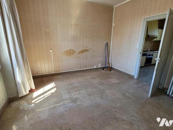 45120 CHALETTE SUR LOING - MAISON  T4 92M² + DEPENDANCES