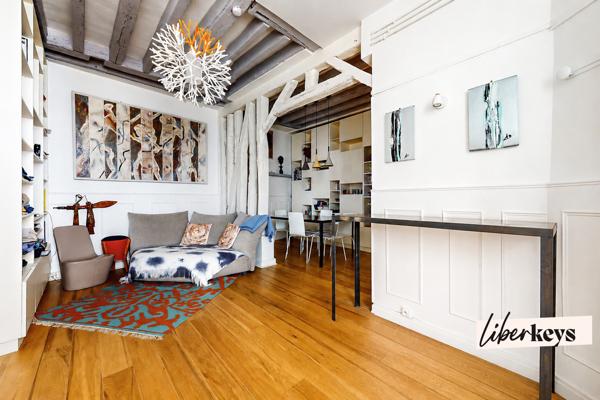 Charmant 3 pièces esprit loft avec double séjour