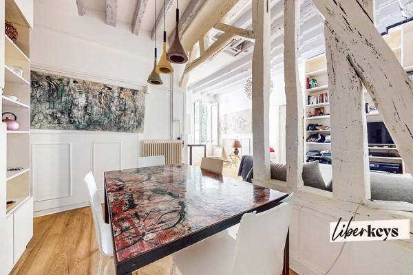 Charmant 3 pièces esprit loft avec double séjour