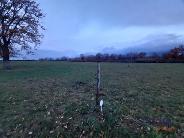 Terrain à bâtir à MEILLARD de 2816 m2