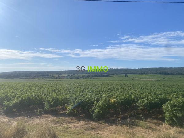 Vente / Maison traditionnelle