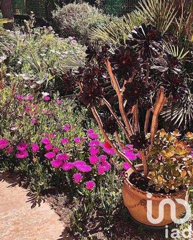 Maison traditionnelle 4 pièces de 101 m² à Sanary-sur-Mer (83110)