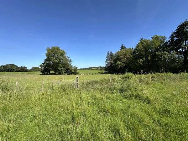 Vente                                                      Ferme
                        
                                         154 m2                     à Adriers