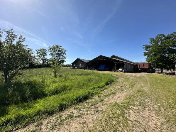 Vente                                                      Ferme
                        
                                         154 m2                     à Adriers