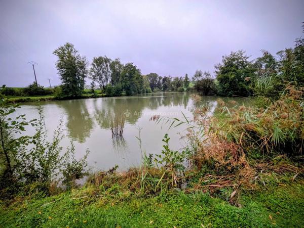 Vente Terrain 17430 m2 à Parey-sous-Montfort