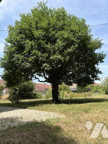 VORAY SUR L'OGNON