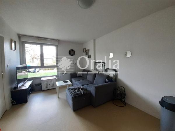 Appartement · Location Dijon (21000) 2 pièces · 35m²