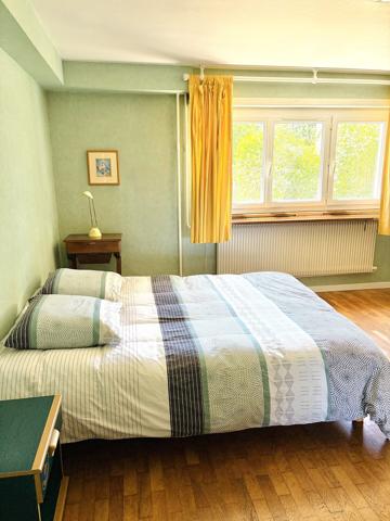 Lingolsheim – Grande maison familiale de 192 m² habitables, 7 chambres