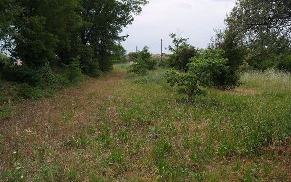 Terrain à vendre    Aups