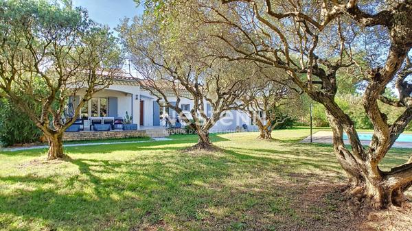 Carpentras 6 pièces, propriété de 164 m² avec piscine, avec terrain arboré et appartement indépendant