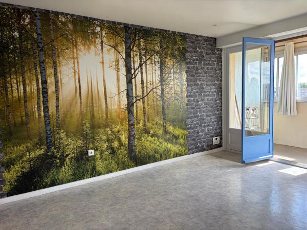 LA ROCHE SUR YON (85000) APPARTEMENT T2 / 53 M² AVEC LOGGIA CAVE ET STATIONNEMENT PRIVATIF AU 3EME SUR 3