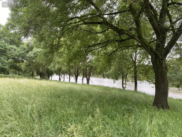 Achat - Maison Montreuil-Juigné 49460 6 pièces 146 m 2 1452 m 2